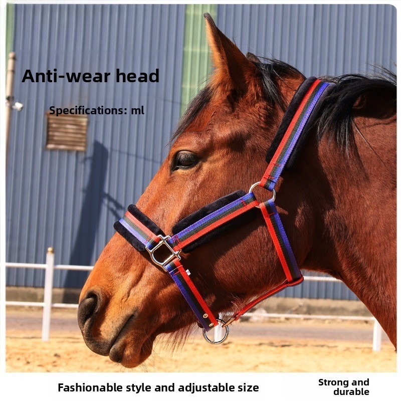 طقم لجام خيول من النسيج المقاو - مراجعة Headcollar Rope Set وسعره